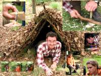 collage020921 - Survival.jpg